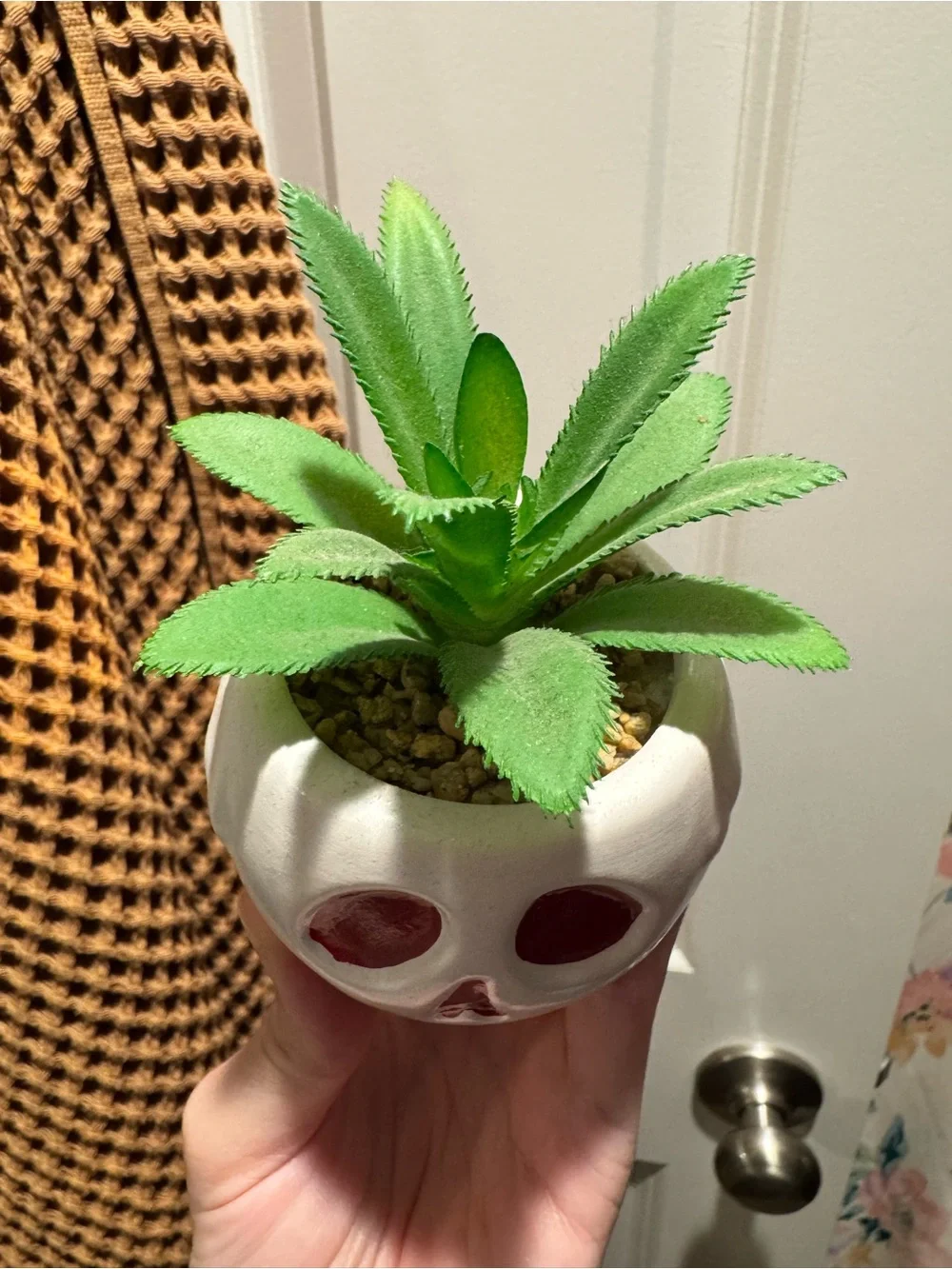 Disney Poison Apple Faux Succulent Plant